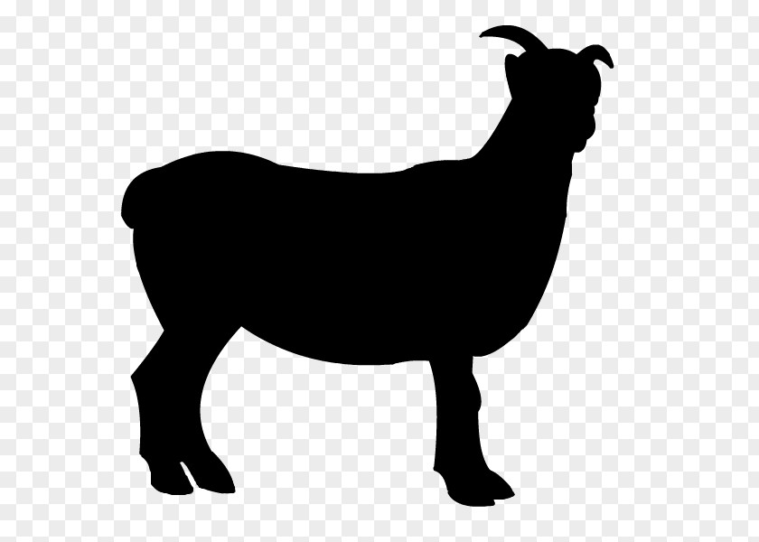 Free Sheep Clipart Boer Goat Clip Art PNG