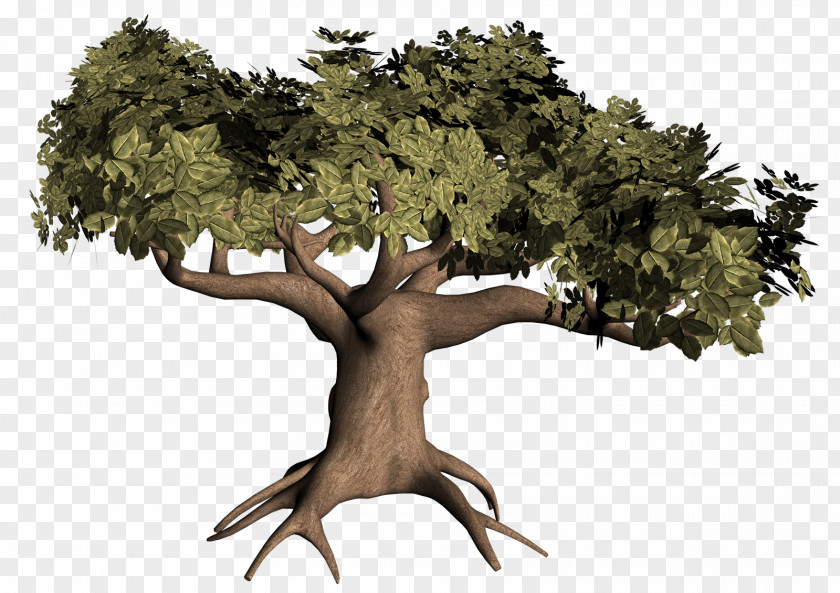 Mothman Tree Root Clip Art PNG