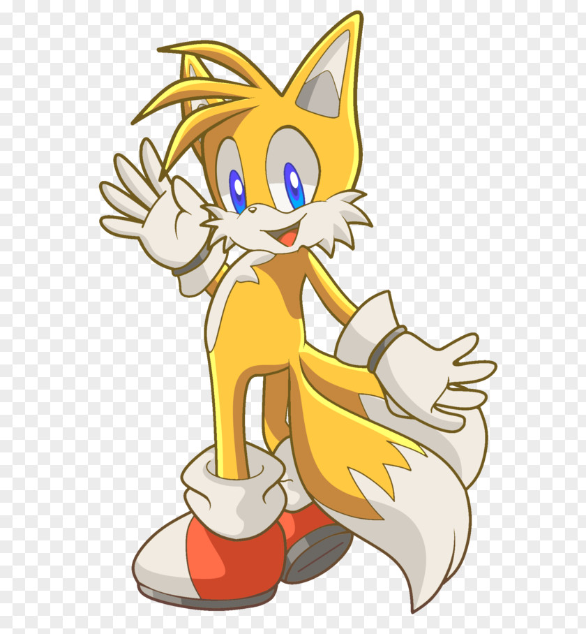 Tails Red Fox Sonic The Hedgehog Whiskers Character PNG