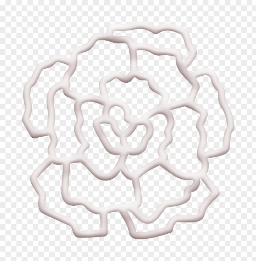 Carnation Icon Flowers Flower PNG