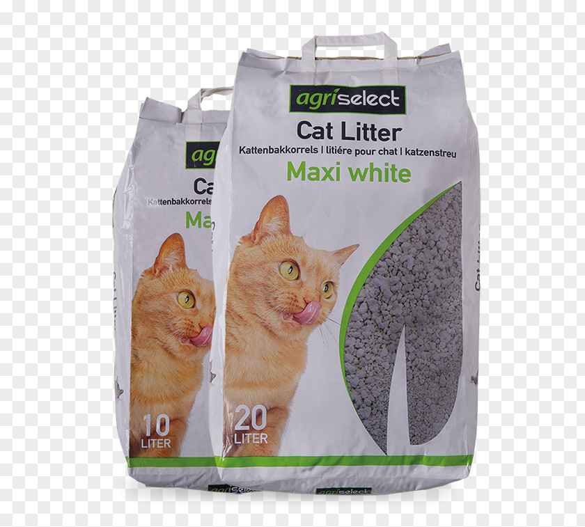 Cat Litter Whiskers Bentonite Trays Kitten PNG