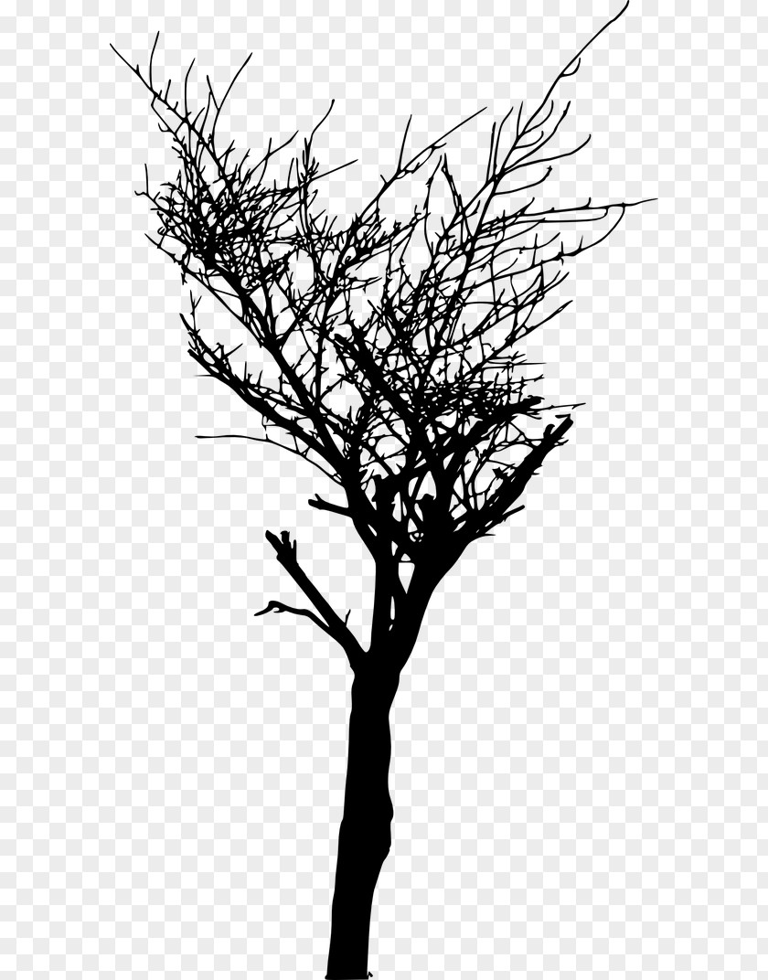 Flower Blackandwhite Tree Branch Silhouette PNG
