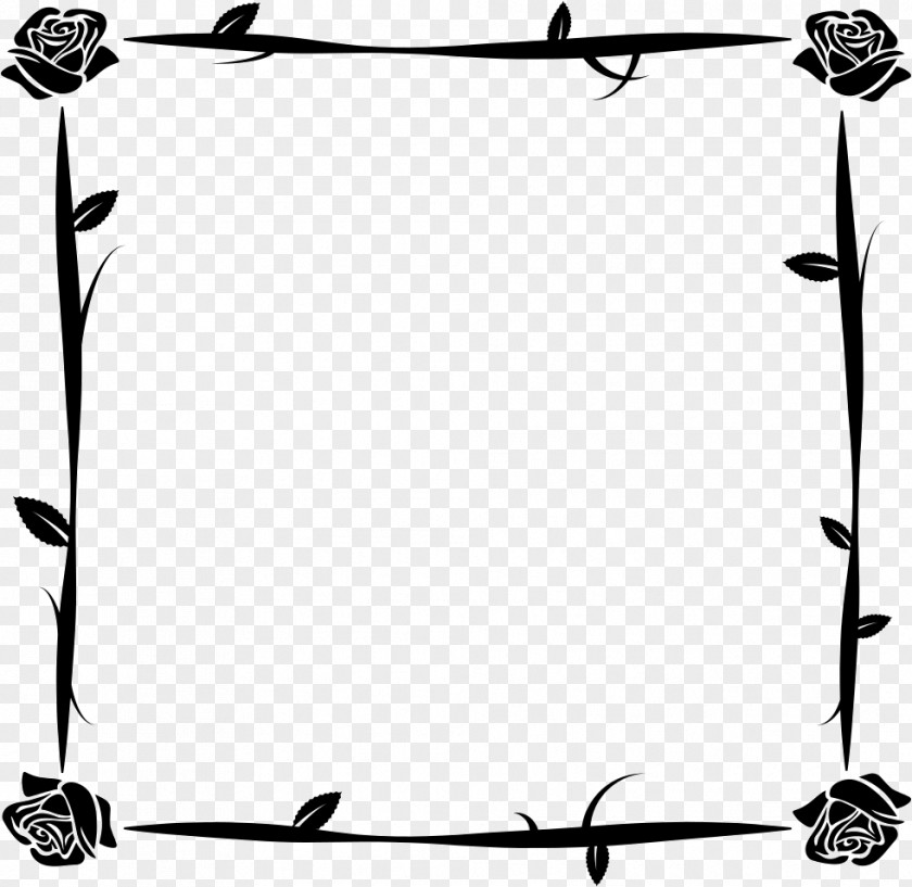 Flower Picture Frames PNG