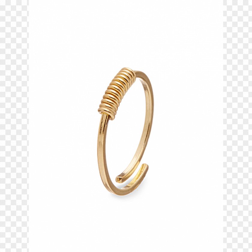 Jewellery 01504 Bangle Body PNG