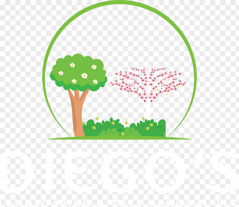 Plant Stem Arbor Day Green Grass Background PNG