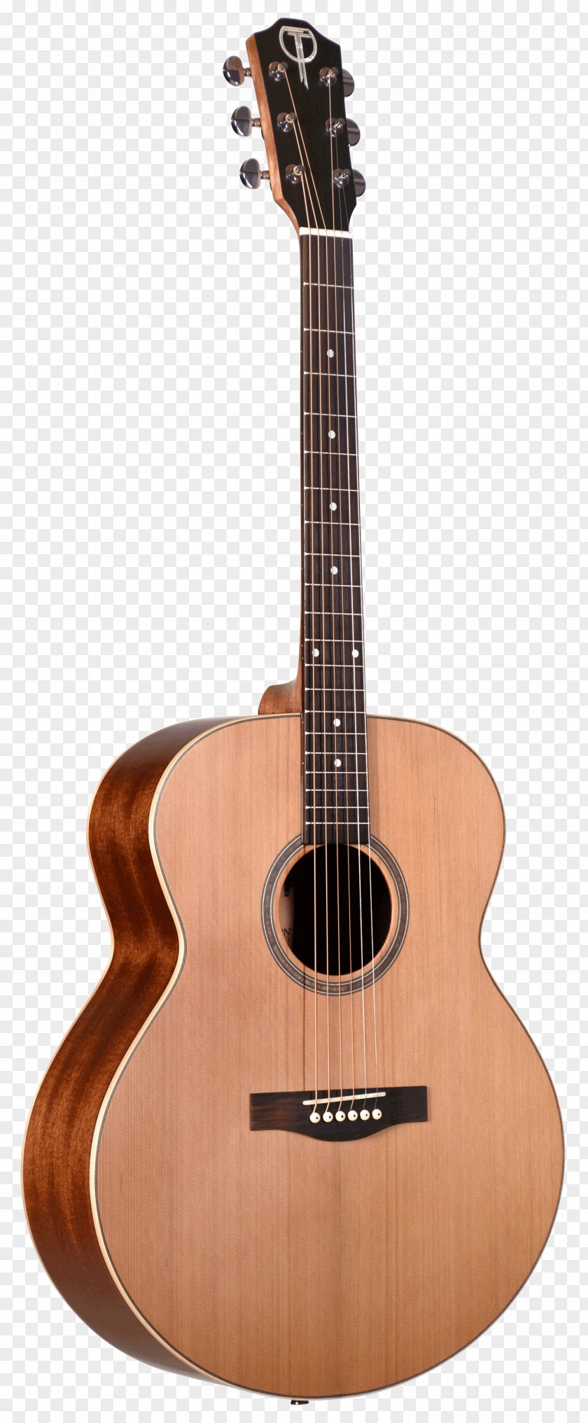 Acoustic Guitar Acoustic-electric Dreadnought C. F. Martin & Company PNG