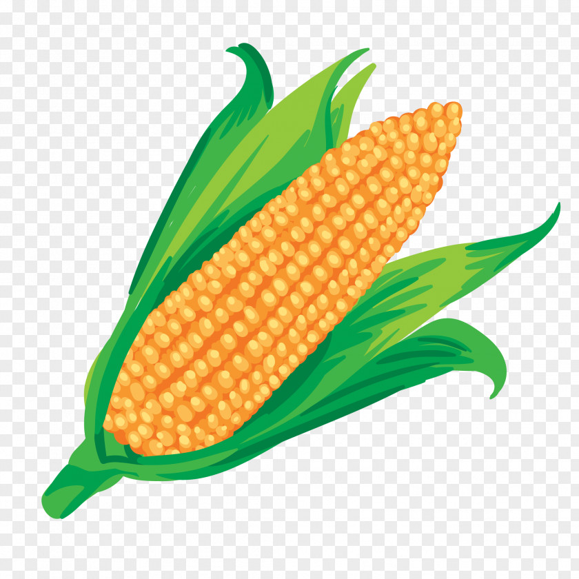 Corn Juice Maize Vegetable On The Cob PNG