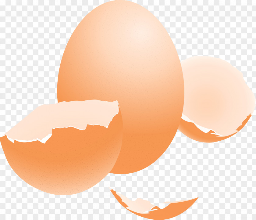 Eggshell Streamer Clip Art Egg Design Paskha PNG