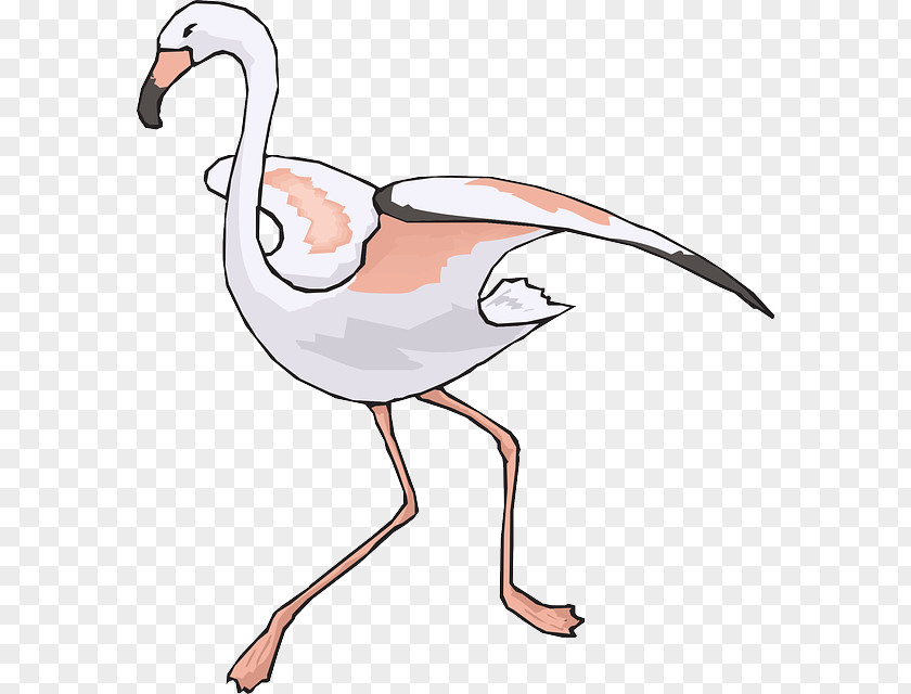 Flamingo Beak Clip Art PNG