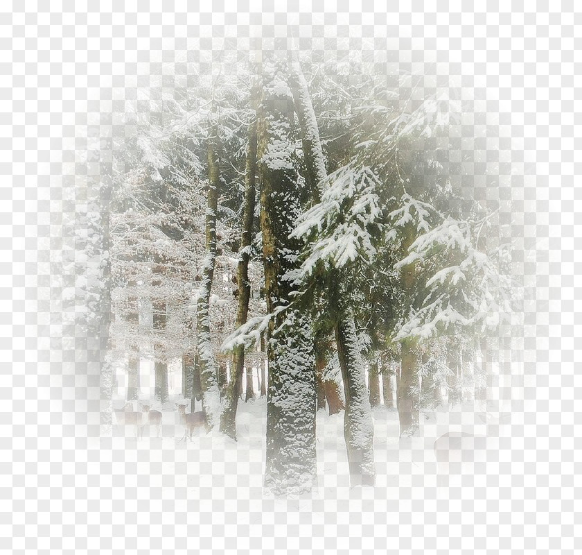 Image Season Winter Blizzard PNG