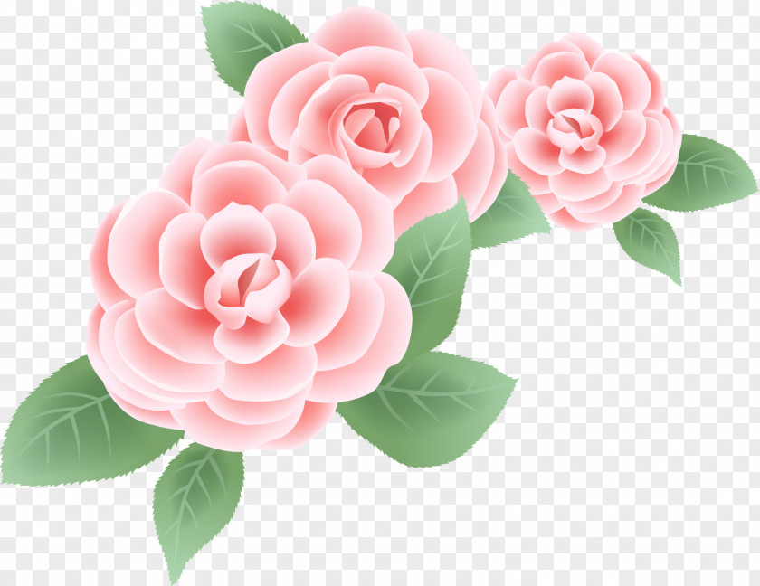 Mary Peony Rose Flower Clip Art PNG