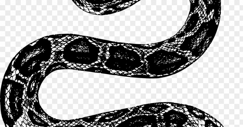 Scaled Reptile Style Snake Cartoon PNG