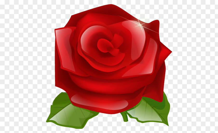White Rose Love Heart Symbol PNG