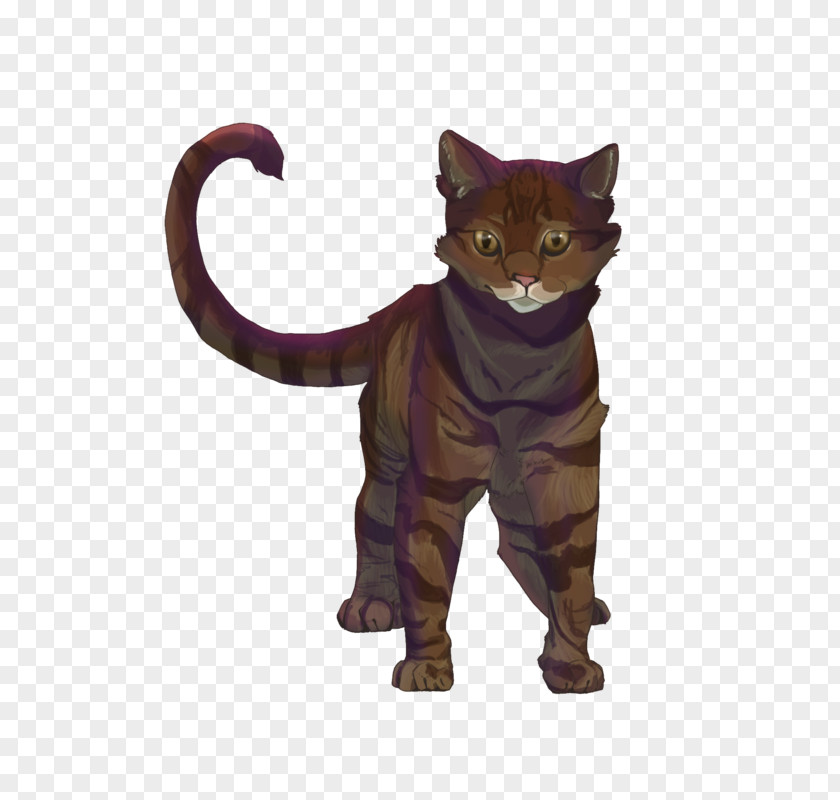 Cat Onestar Whiskers Tallstar Art PNG