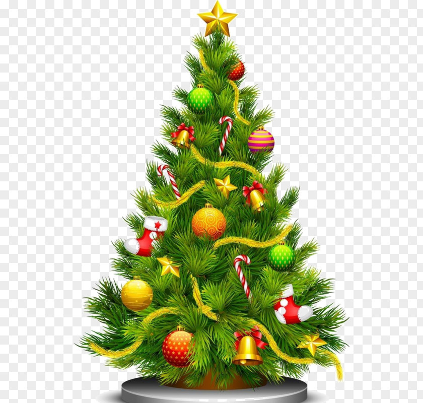 Christmas Tree Artificial Day Clip Art Cultivation PNG