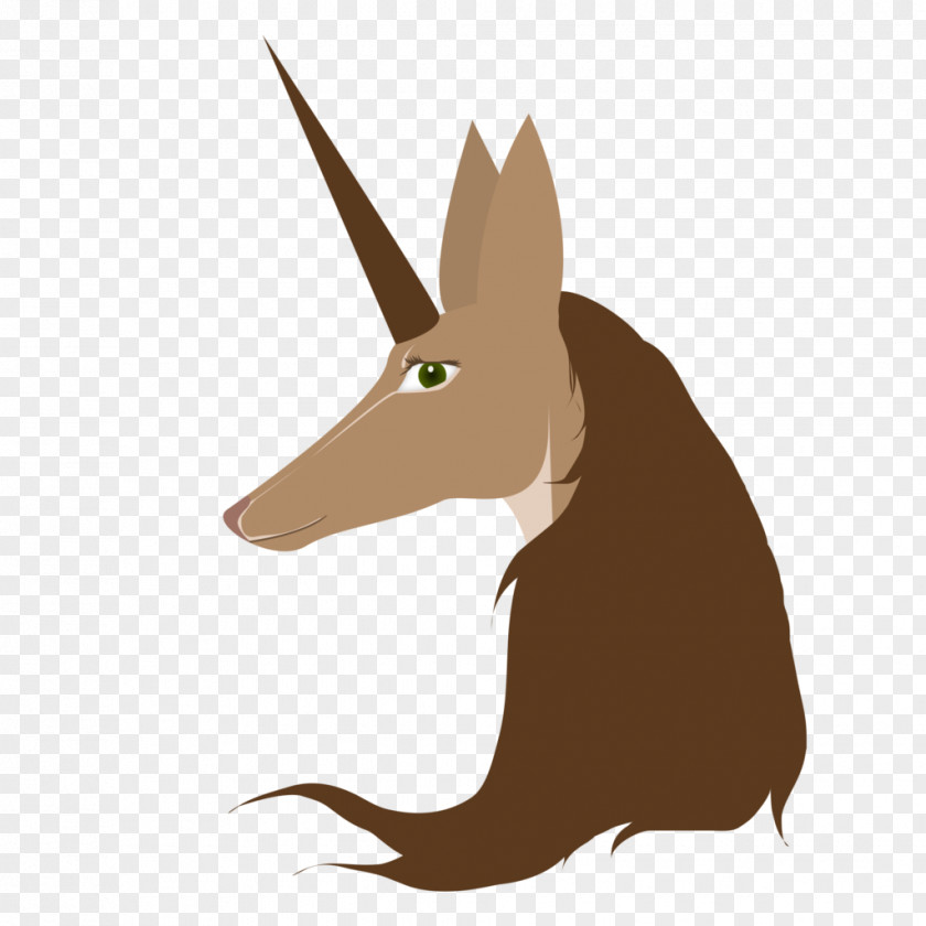 Dog Canidae Hare Kangaroo Snout PNG