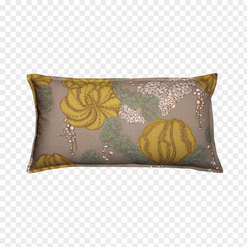 Fleshy Rosette Succulents Throw Pillows Cushion Rectangle PNG