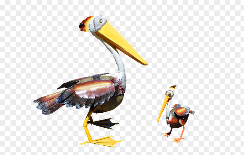Pelican Products Toucan Fauna Beak PNG
