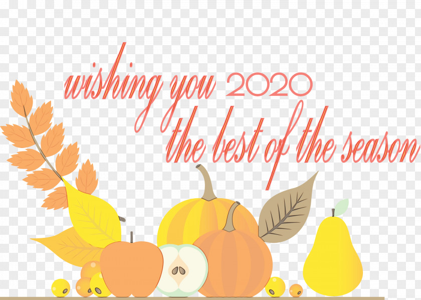 Thanksgiving Pumpkin PNG