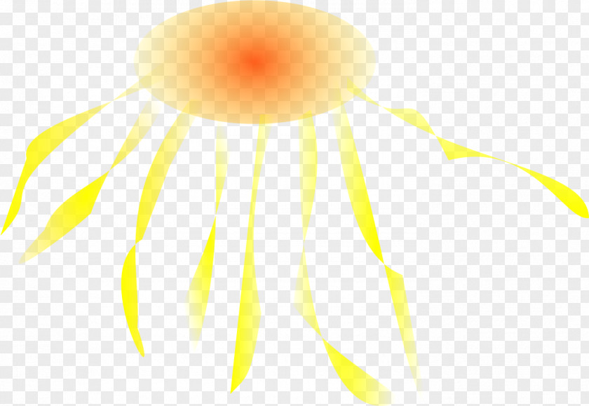 Jellyfish Clip Art PNG