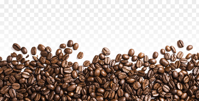 Lots Of Coffee Beans PNG of coffee beans clipart PNG