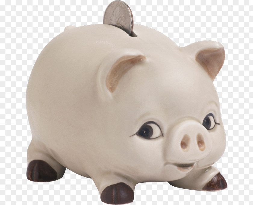 Piggy Bank Domestic Pig Computer Software Clip Art PNG