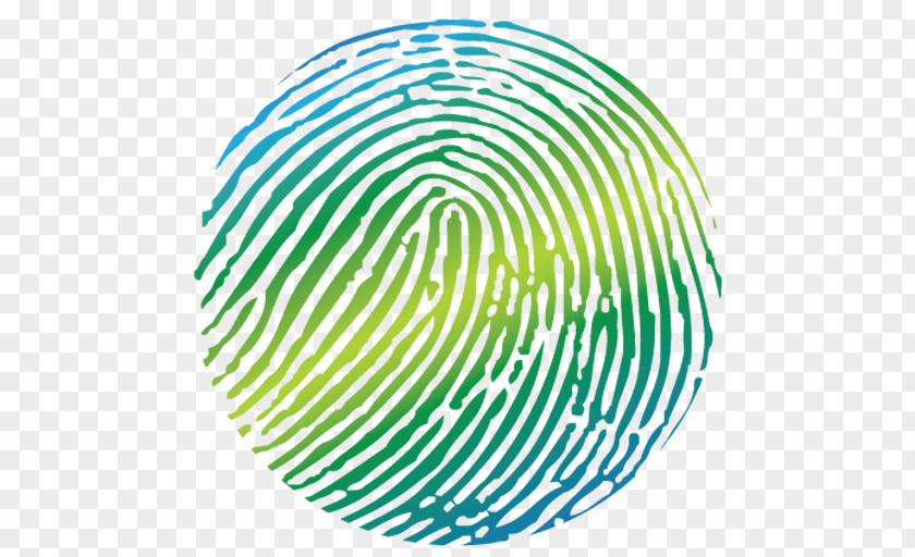 Turquoise Fingerprint PNG