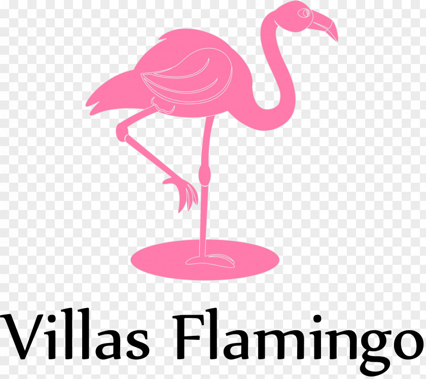 Flamingo Organization Management Succession Planning Business Pension PNG