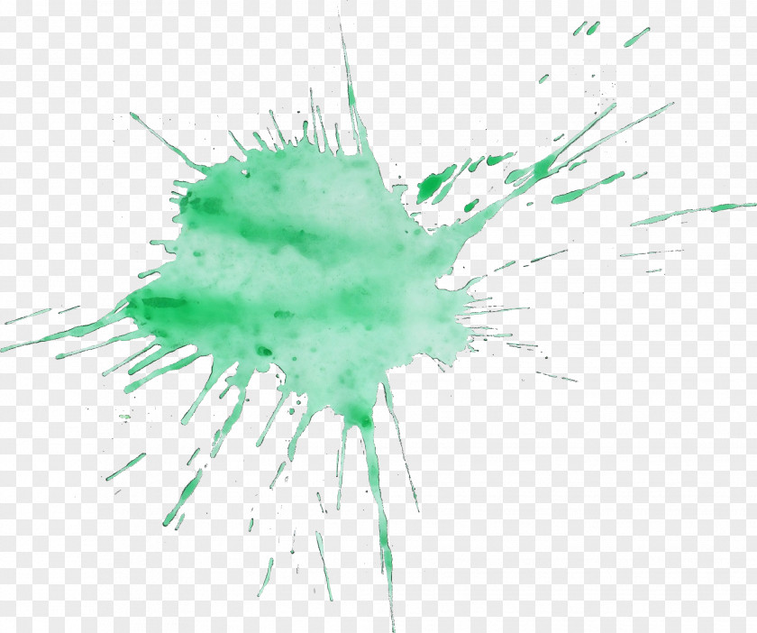 Plant Feather Watercolor PNG