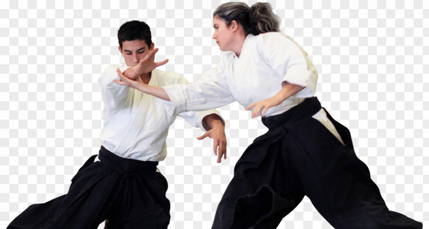 Aikido Kenjutsu Martial Arts Jujutsu Brazilian Jiu-jitsu PNG
