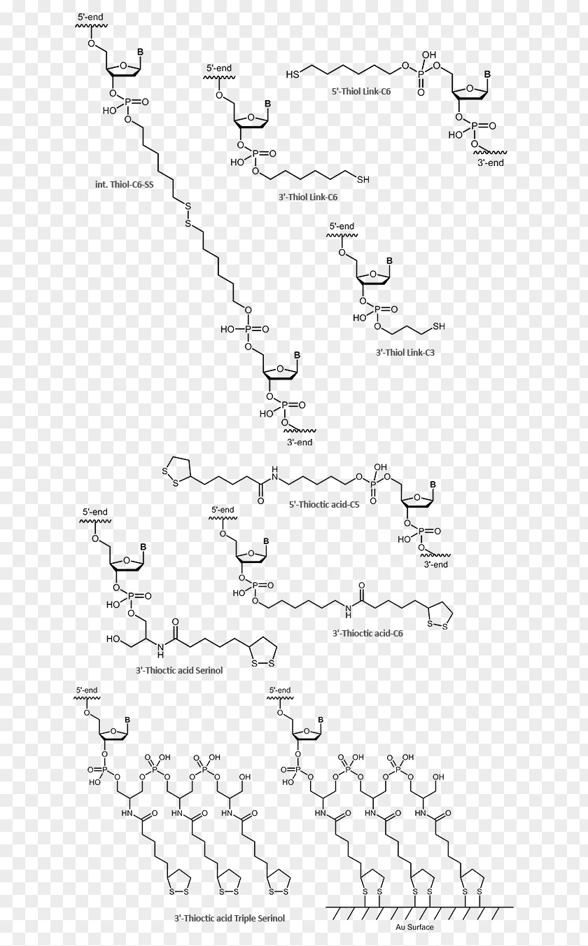 Ferrocene Electrochemistry Text Maleimide Biomers.net GmbH PNG