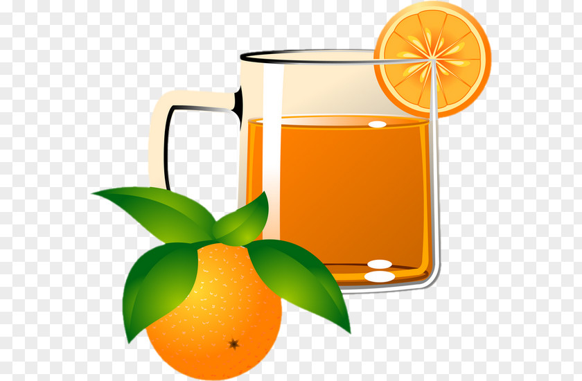 Juice Orange Apple Cider Cranberry PNG