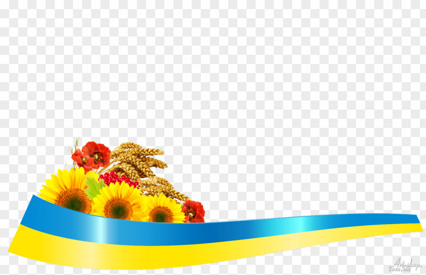 Lenta Ukrainian Flag Of Ukraine Ovidiopol Language Училище PNG