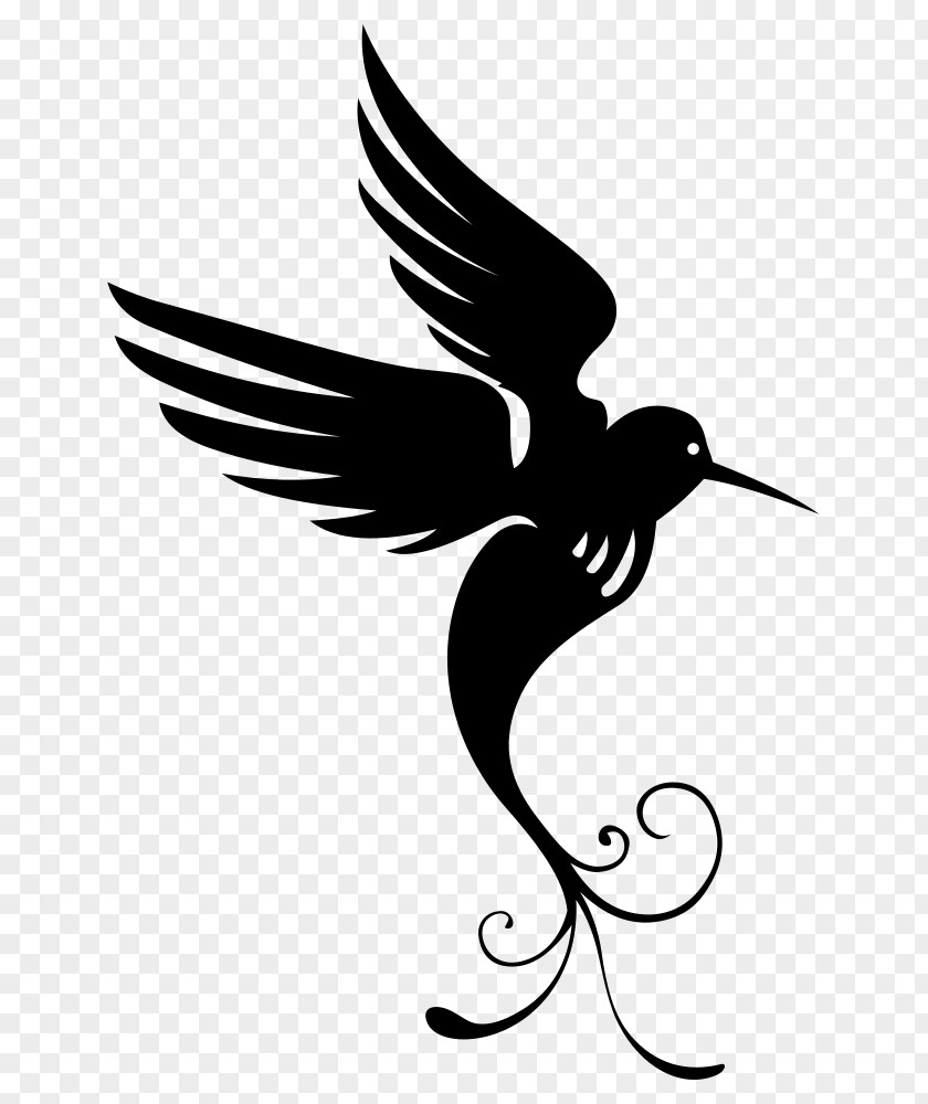 Symbol Blackandwhite Swallow Bird PNG