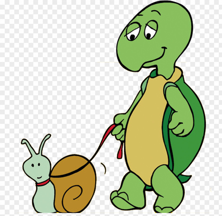 Turtle And Snail Drawing Clip Art PNG