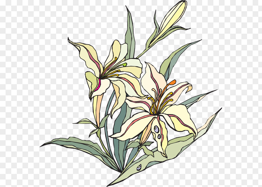 Valley Cliparts Easter Lily Flowering Plant Clip Art PNG