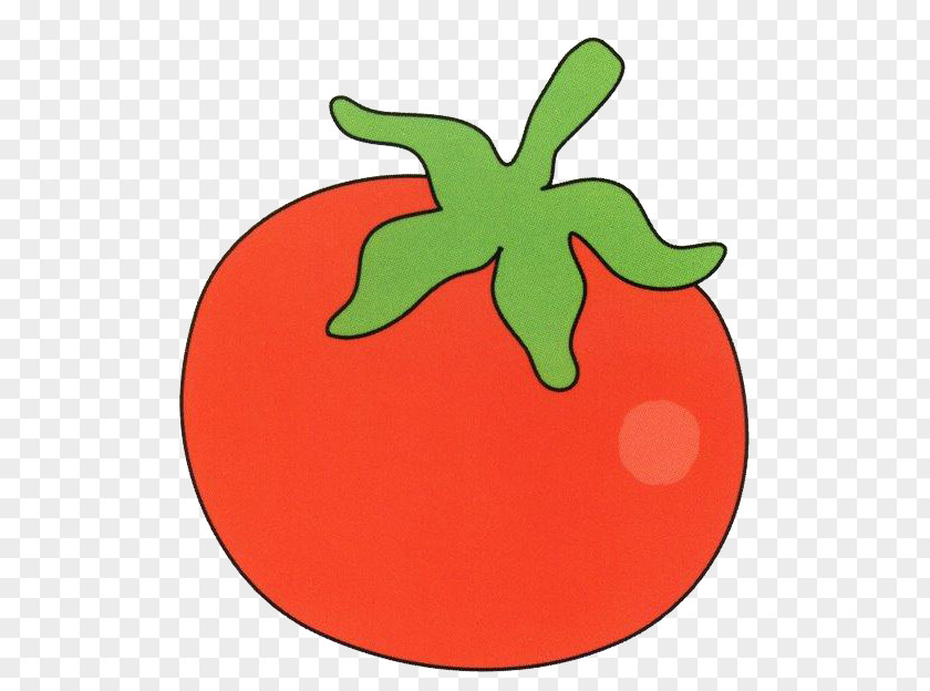 Vegetable Drawing Potato Tomato PNG