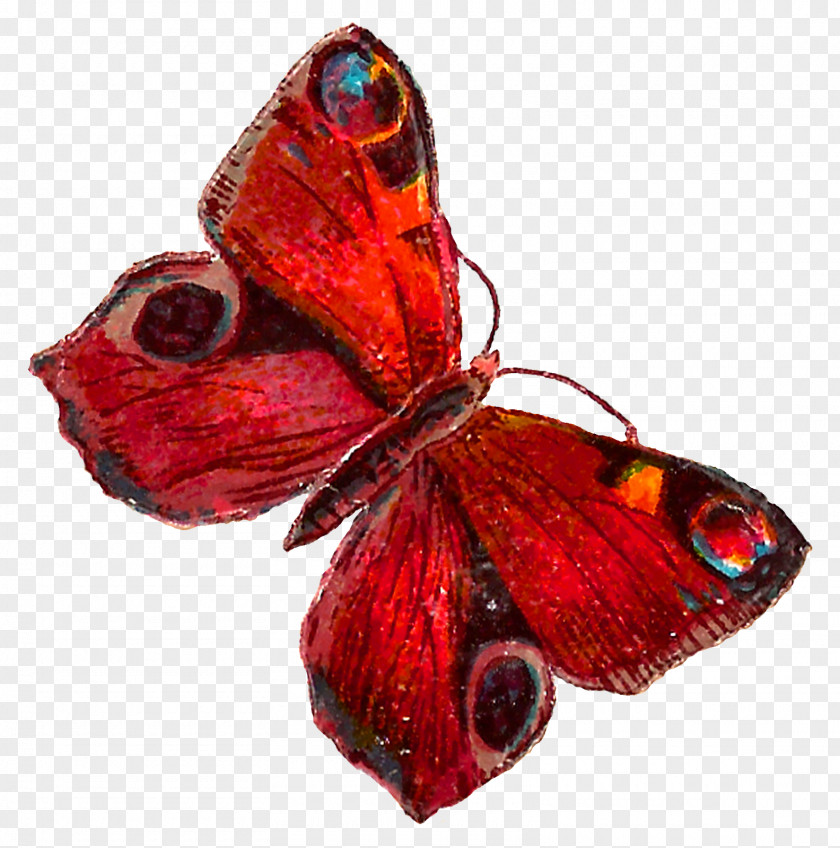 Brushfooted Butterfly Pollinator Aglais Io Insect Moths And Butterflies Red PNG