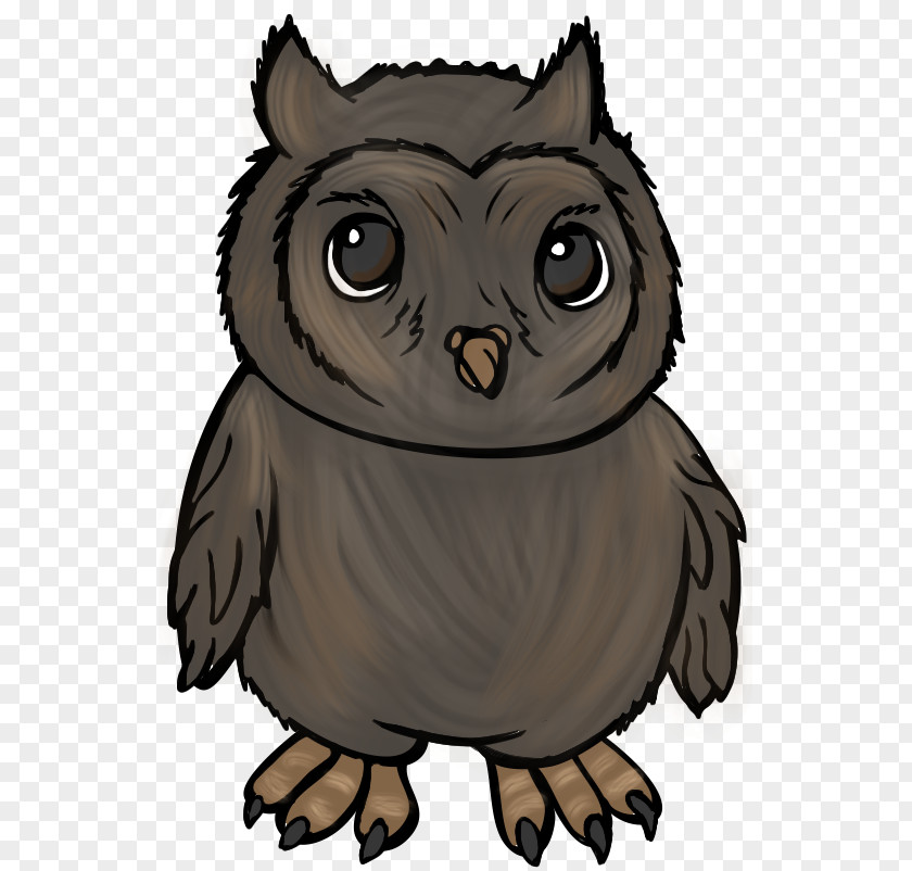Color Owl Beak Bird Cartoon PNG