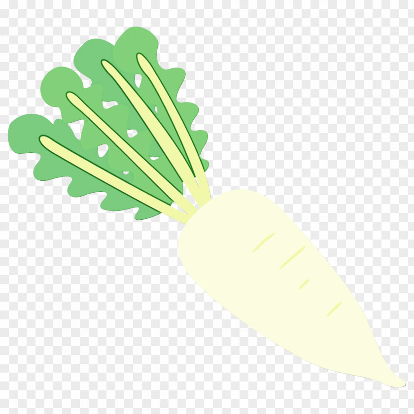 Herb Vegetarian Food Leaf Green Vegetable Daikon Plant PNG