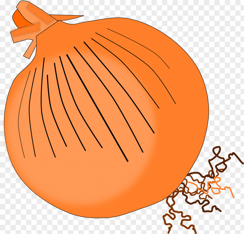 Onion Shallot Red Clip Art PNG