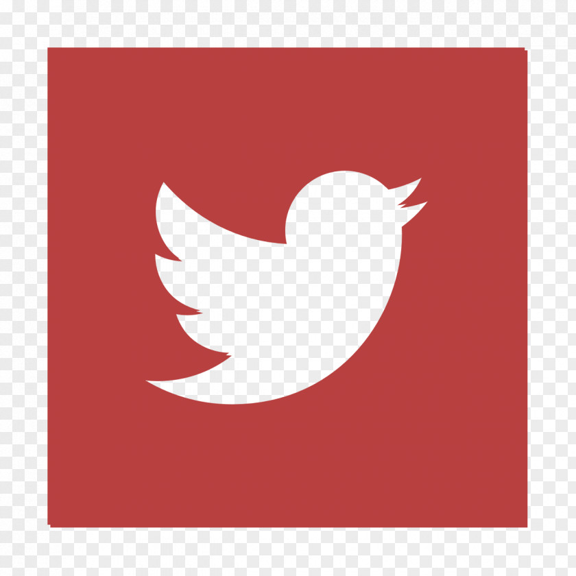Twitter Icon Essentials Social PNG