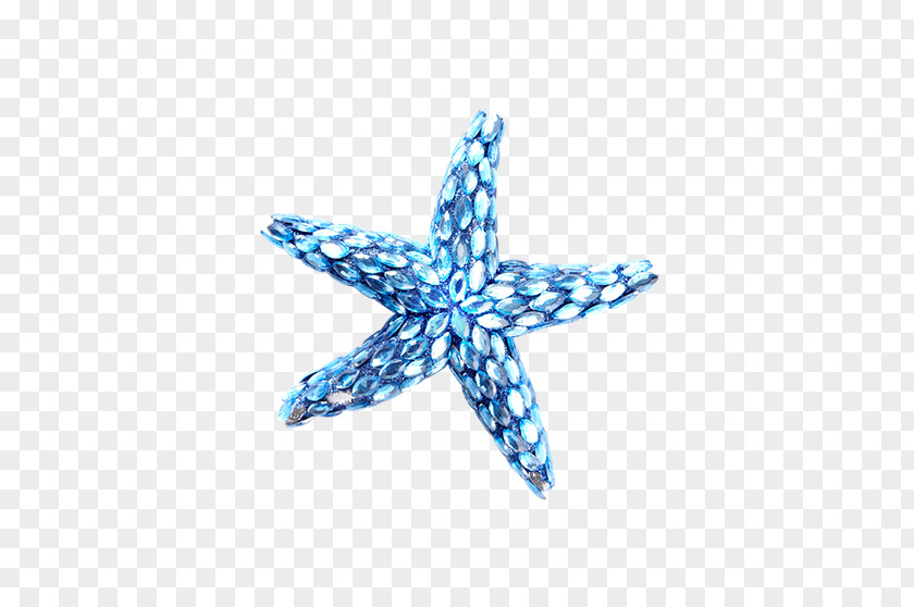 Blue Starfish Computer File PNG