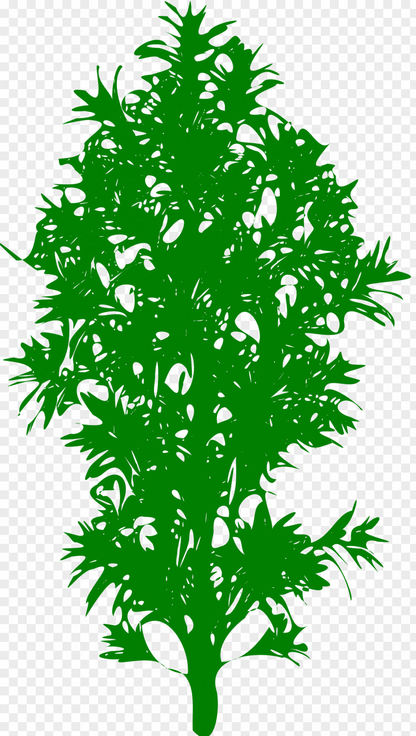 Leaf Plant Stem Line Branching PNG