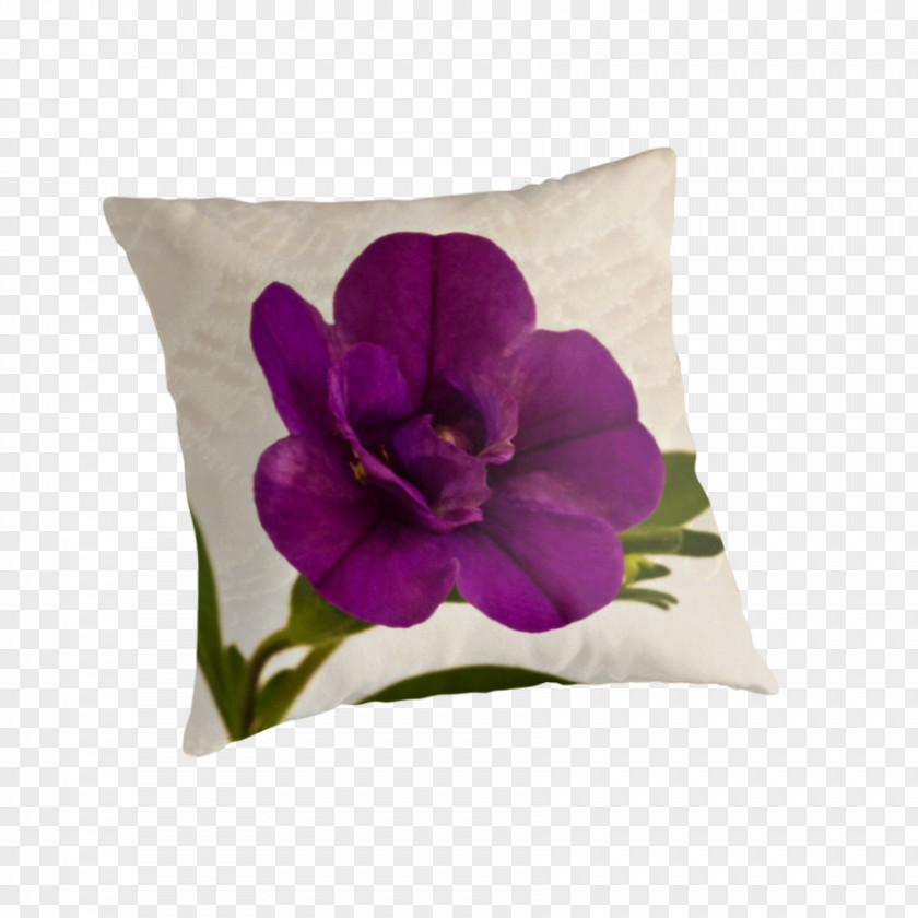 Pillow Throw Pillows Cushion Violet Family PNG