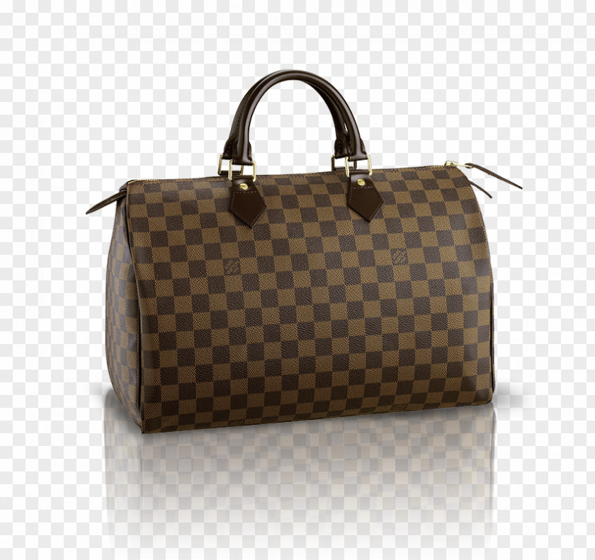 Pm Chanel Louis Vuitton Handbag Fashion PNG