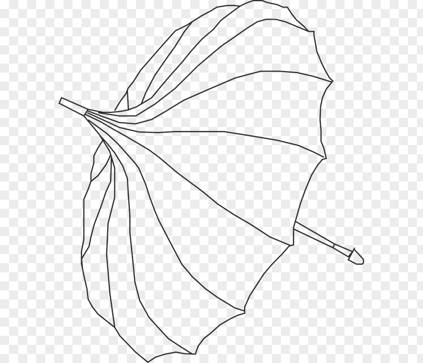 Umbrella Vector Design Graphics Image Clip Art PNG