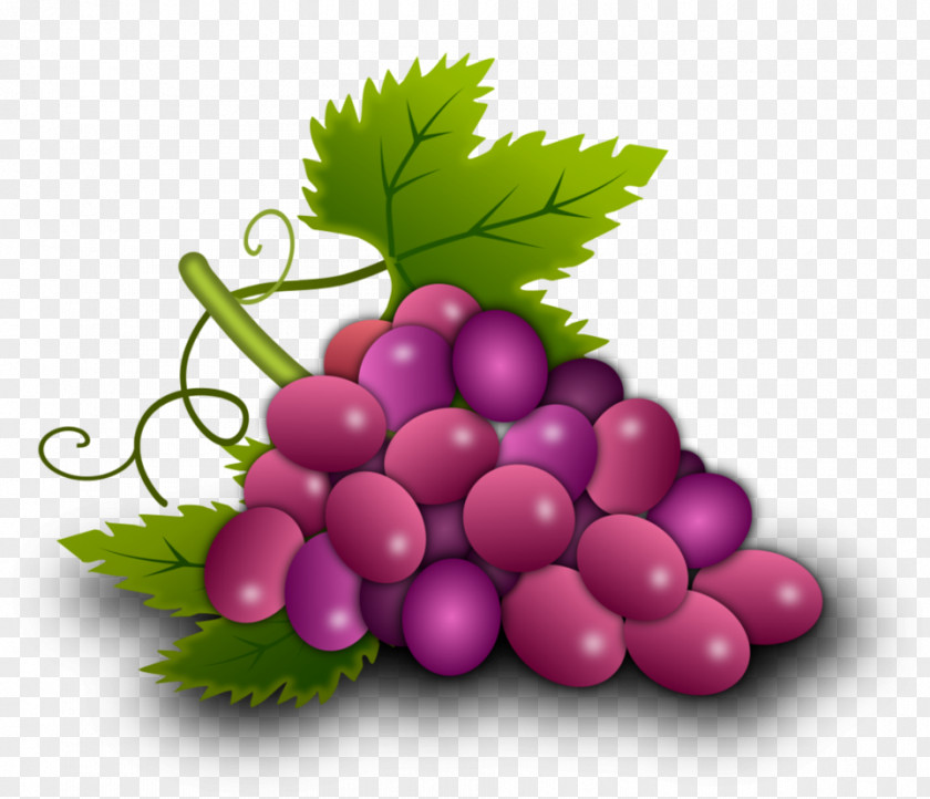 Grapes Vector Grapevines Food Grape Leaves Seedless Fruit PNG