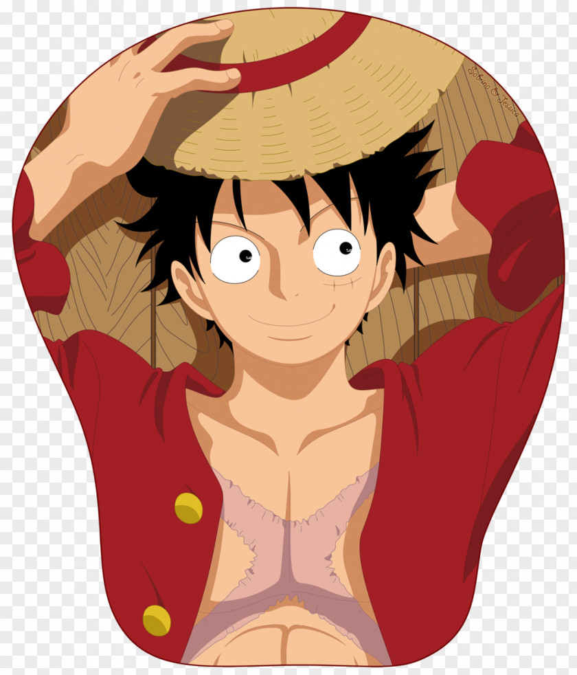 One Piece Monkey D. Luffy Portgas Ace Trafalgar Water Law Sabo PNG