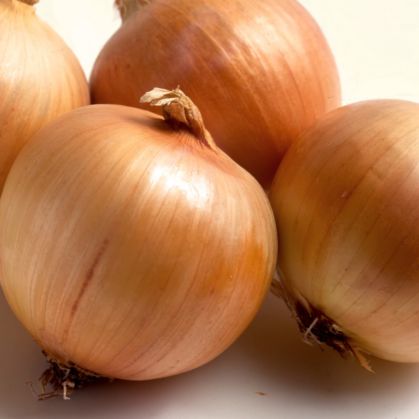 Onion Ukraine Seed Price Cultivar PNG